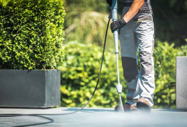 Animal Enclosure Cleaning in Pelham, GA