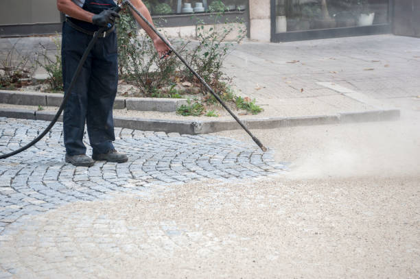 Best Driveway Pressure Washing  in Pelham, GA