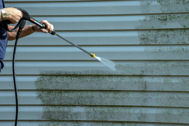 Best Solar Panel Cleaning  in Pelham, GA